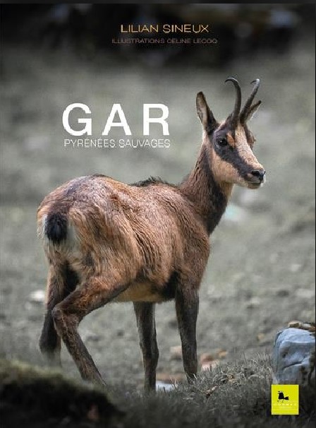 GAR